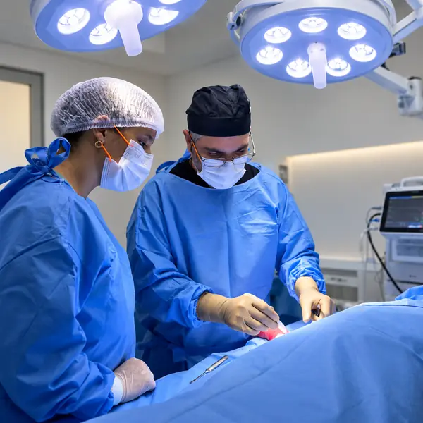 UTI veterinária e centro cirúrgico da Vet Life